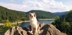 Ferienwohnung Hundeblick